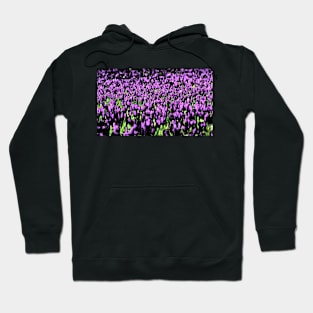 Lilac Tulips Hoodie